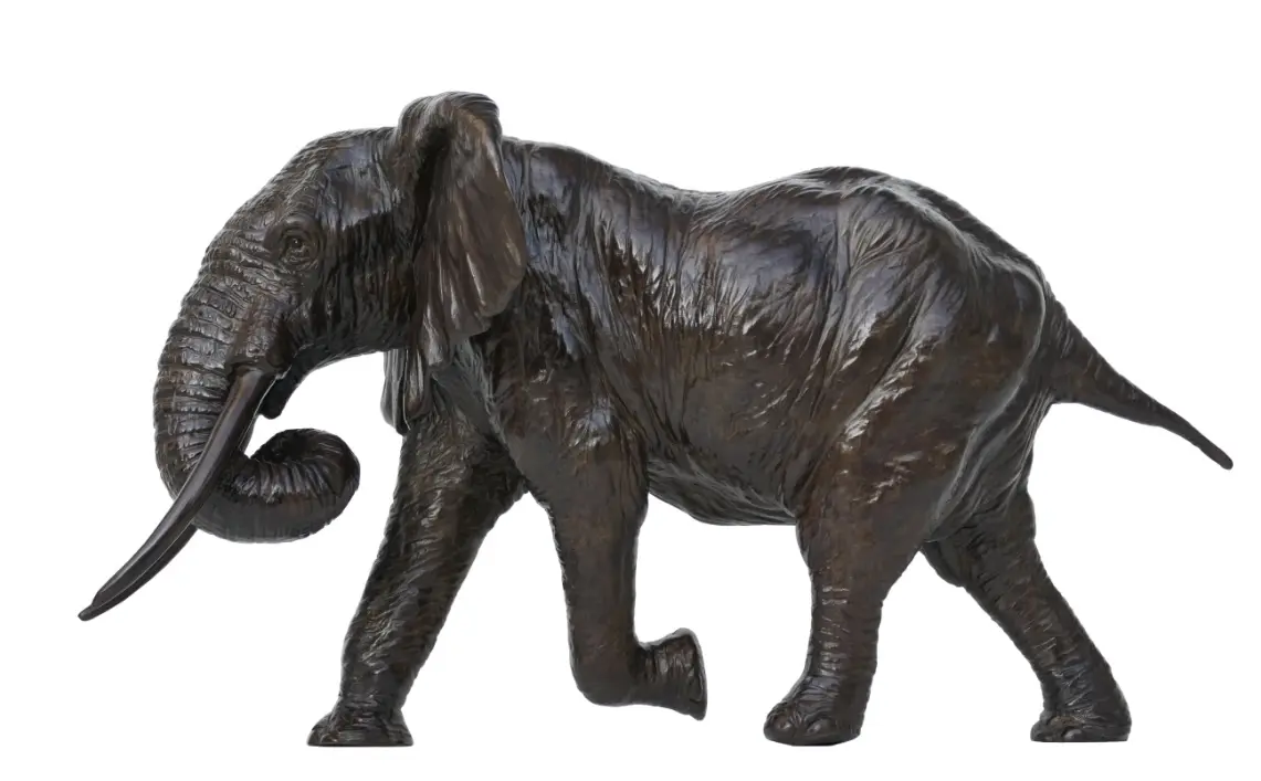 Image Éléphant d&rsquo;Afrique chargeant Trompe enroulée