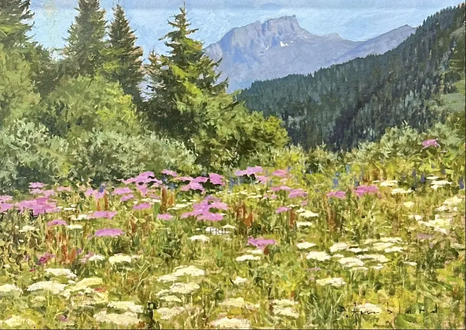 Image En montant au Col du Tricot