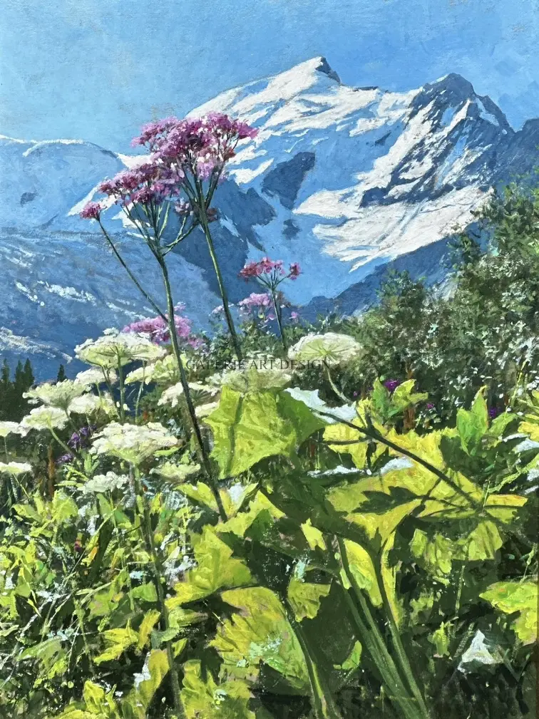 Image Fleurs de Bionnassay