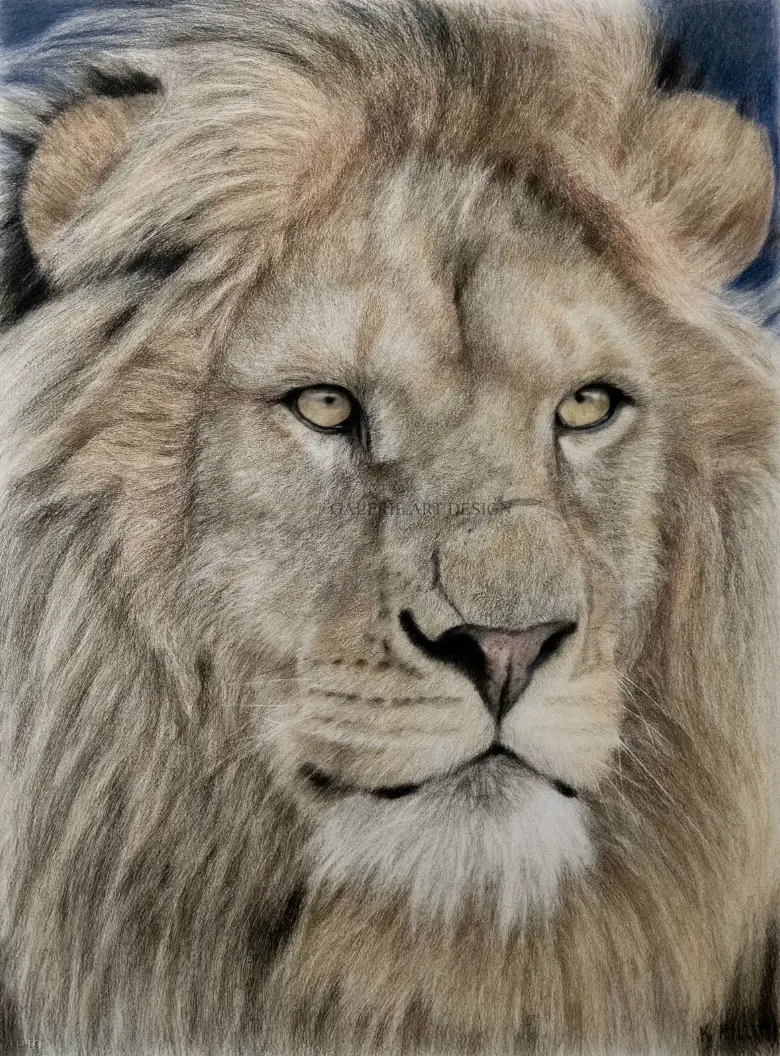 Image Lion d&rsquo;Afrique