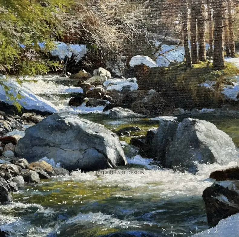 Image Ruisseau aux alentours de Vallorcine